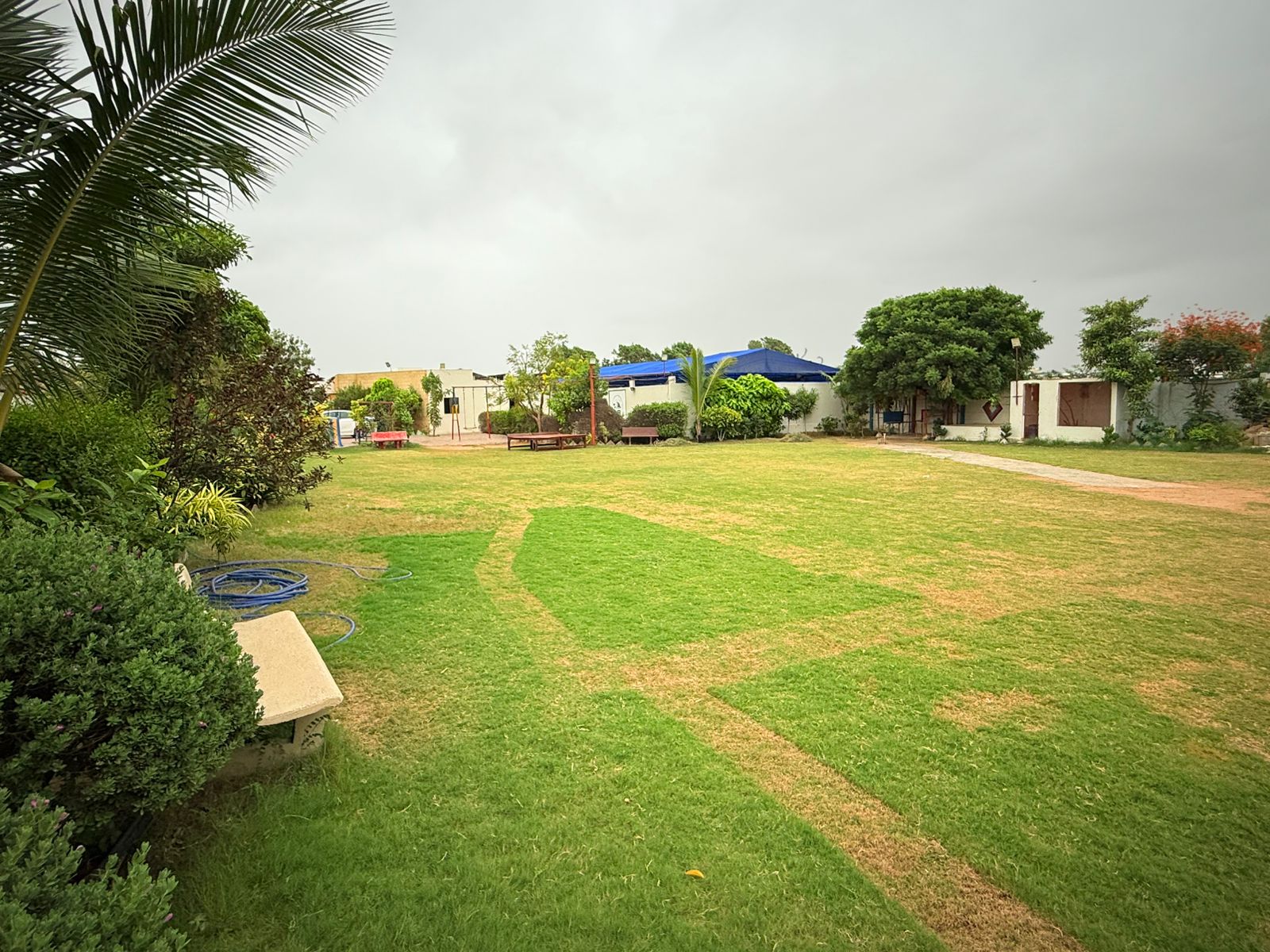 Ground 5